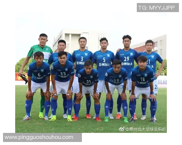 南京排球队在总决赛中的精彩表现与团队力量分析